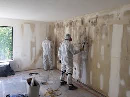 Best Mold Prevention Services in USA